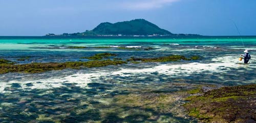 Thiên đường tình yêu Hàn Quốc làm thổn thức triệu trái tim - 5