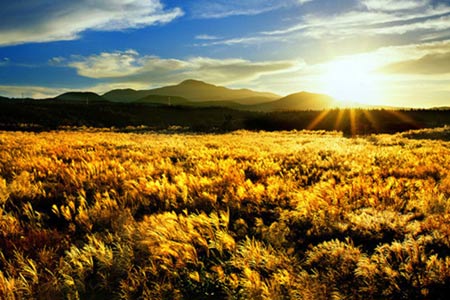 Thiên đường tình yêu Hàn Quốc làm thổn thức triệu trái tim - 7