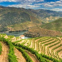 Du lịch - Ngắm vẻ đẹp những đồng ruộng hùng vĩ