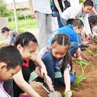 Giáo dục - du học - Đau đầu vì con sắp nghỉ hè