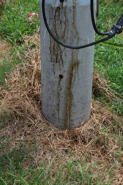 Trụ điện bỗng nhiên biết… “khóc” - 3