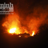 Tin tức trong ngày - Nóng đỉnh điểm, 30ha rừng cháy suốt 12 tiếng