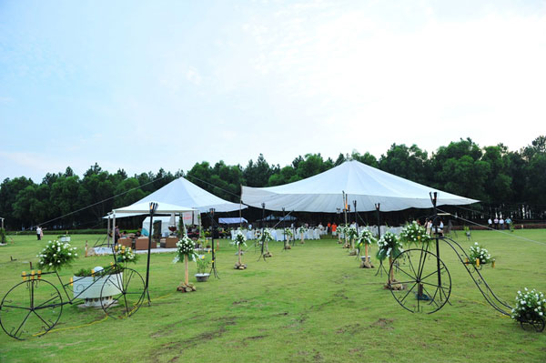 Sao Việt “đốt tiền” vào sinh nhật - 3