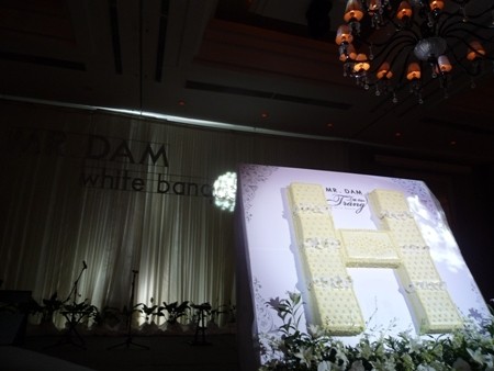 Sao Việt “đốt tiền” vào sinh nhật - 17