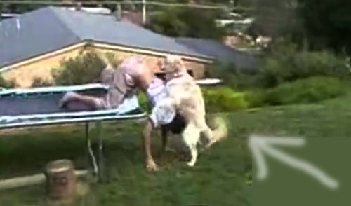 Top clip hài: 3, 4, 5 việc 1 tay - 4