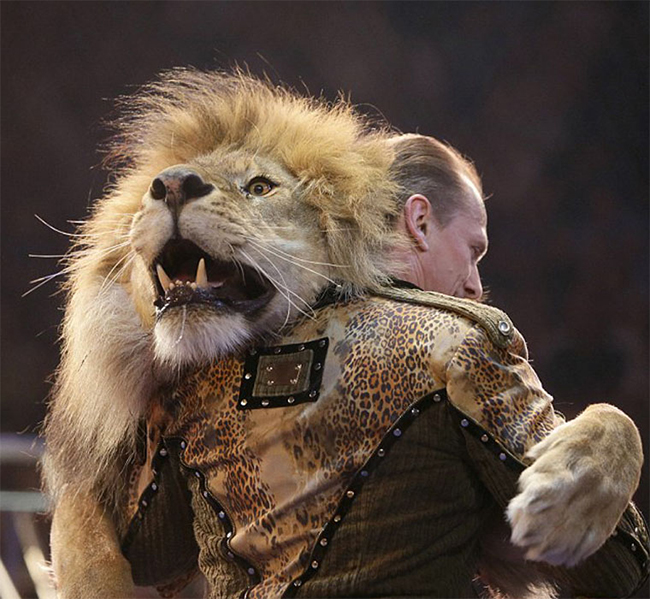 Nghệ sĩ xiếc nổi tiếng Oleksiy Pinko ôm chú sư tử và cầm hai chân trước của nó. Họ trở thành cặp nhảy ấn tương nhất tại buổi diễn ở rạp xiếc quốc gia vào hôm 15/4.
