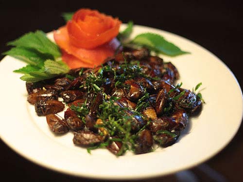 Thú xơi đặc sản côn trùng - 2
