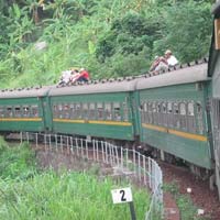 Tin tức trong ngày - Nữ tiều phu trên chuyến tàu "sinh tử"