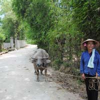 Tài chính - Bất động sản - Hòa Bình: Một xã có gần 10 dự án 'treo'