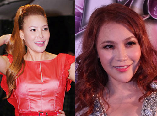 Sốc với gương mặt thay đổi của sao Việt - 2