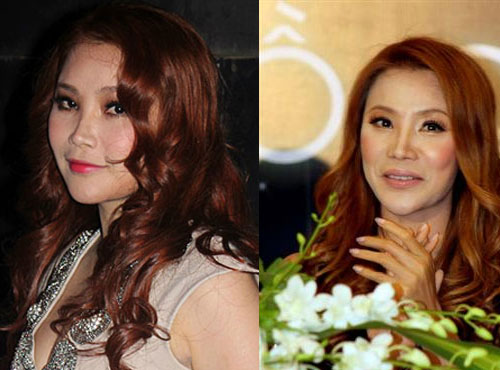 Sốc với gương mặt thay đổi của sao Việt - 3