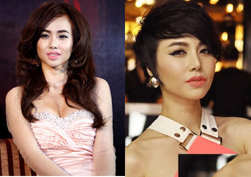 Sốc với gương mặt thay đổi của sao Việt - 13