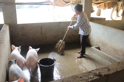 Kỳ lạ "xã không chồng" ở Thái Nguyên - 2