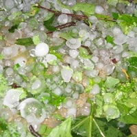 Tin tức trong ngày - Lốc xoáy, mưa đá tái diễn, 2 người chết