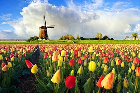 Chiêm ngưỡng thiên đường tình yêu tuyệt đẹp tại Hà Lan