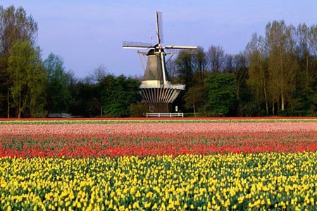 Chiêm ngưỡng thiên đường tình yêu tuyệt đẹp tại Hà Lan - 4