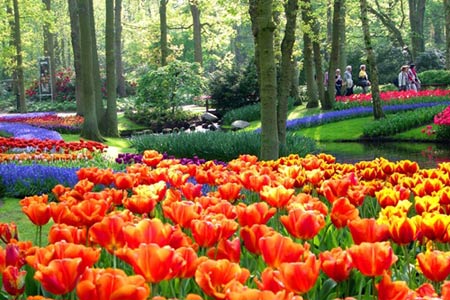 Chiêm ngưỡng thiên đường tình yêu tuyệt đẹp tại Hà Lan - 5