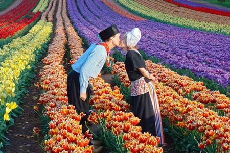 Chiêm ngưỡng thiên đường tình yêu tuyệt đẹp tại Hà Lan - 8