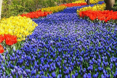 Chiêm ngưỡng thiên đường tình yêu tuyệt đẹp tại Hà Lan - 4