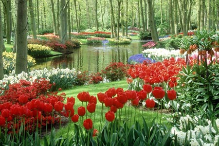 Chiêm ngưỡng thiên đường tình yêu tuyệt đẹp tại Hà Lan - 6
