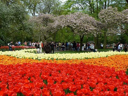 Chiêm ngưỡng thiên đường tình yêu tuyệt đẹp tại Hà Lan - 7