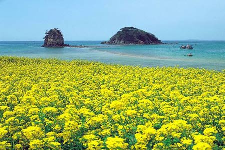 Thổn thức trái tim vì "thiên đường" ở xứ Hàn - 9