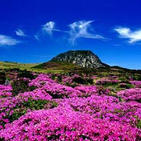 Du lịch - Thổn thức trái tim vì "thiên đường" ở xứ Hàn