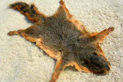 Tem phiếu VN vào top 10 loại tiền lạ nhất TG - 8