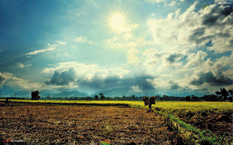 Ngọt bùi sắn đập - 1