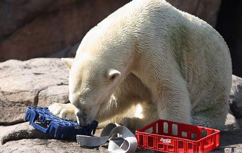 Coca và Pepsi: Những pha “dìm hàng” kinh điển - 5