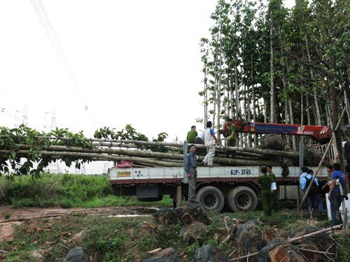 Mất điện toàn miền Nam: Công an vào cuộc - 2