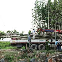 Tin tức trong ngày - Mất điện toàn miền Nam: Công an vào cuộc