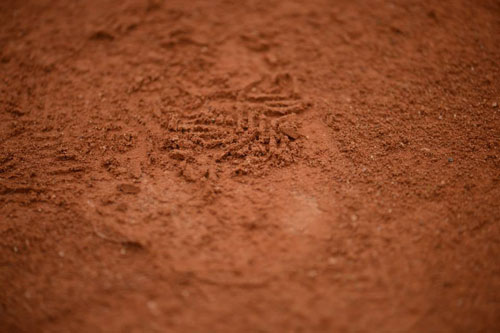 Roland Garros: Kỳ bí mặt sân đất nện - 2