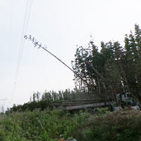 Miền Nam mất điện: EVN có bồi thường?