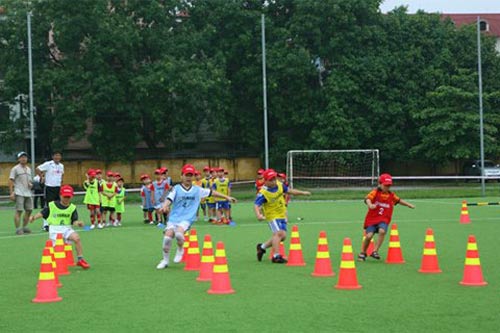 BĐVN: Bóng đá trẻ ngày càng teo tóp - 1