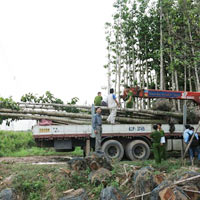 Sự cố mất điện miền Nam lên báo nước ngoài