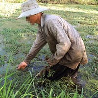 Tin tức trong ngày - Bỗng dưng nhiễm HIV: Cộng đồng không kỳ thị