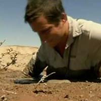 Thể thao - Kỹ năng sống: Thoát khỏi cát lún (Kỳ 3)