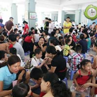 Tin tức trong ngày - Ngộp thở “heo vàng” thi vào lớp 1