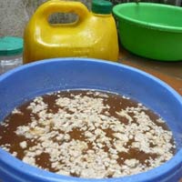 Thị trường - Tiêu dùng - HN: Phở thịt thối, bún chả hóa chất