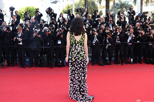 Chương Tử Di quá đà tại Cannes - 2