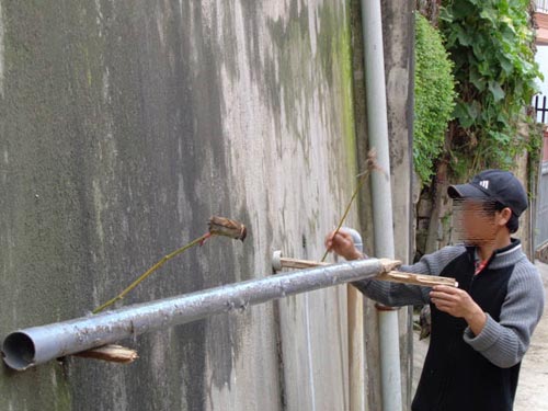 Hạ sát chim trời ngay trung tâm Đà Lạt - 2