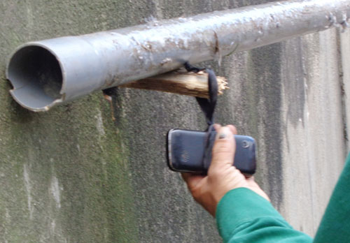 Hạ sát chim trời ngay trung tâm Đà Lạt - 6