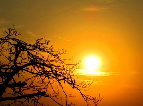 Những bãi biển hút khách của Việt Nam (P1) - 6