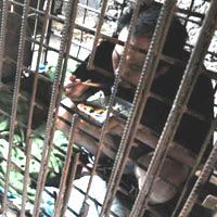 Tin tức trong ngày - TQ: Mẹ nhốt con trong lồng sắt suốt 11 năm