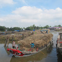 Thị trường - Tiêu dùng - Bị nợ tiền, nông dân phải vay tín dụng đen