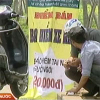 Thị trường - Tiêu dùng - Bảo hiểm xe máy giá chỉ ... 20.000 đồng