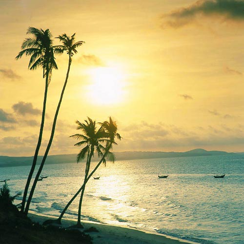 Những bãi biển hút khách của Việt Nam (P2) - 5