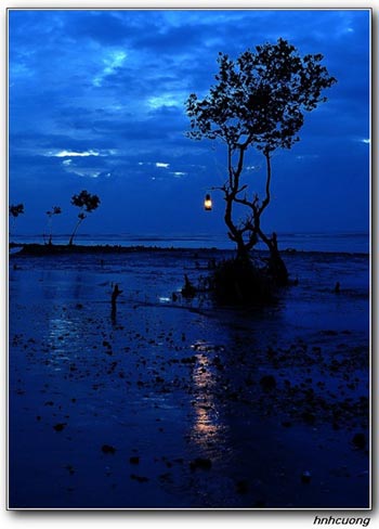 Những bãi biển hút khách của Việt Nam (P2) - 2