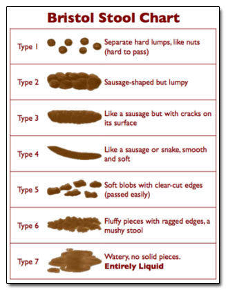 Những biểu đồ nghiên cứu khoa học khiến bạn... phát ói! - 1